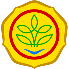 image slider